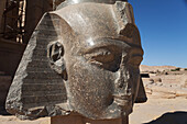 Geschnitzter Kopf von Ramses Ii, Grabtempel Ramesseum, Westufer; Luxor, Ägypten