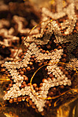Sternförmiger Weihnachtsschmuck aus Nelken und Bändern in einem Geschenkeladen; Salzburg, Österreich