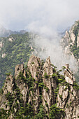 Granitspitzen mit Pinienbäumen in der Nordsee-Szenerie, Berg Huangshan, Anhui, China
