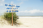 Sign Prohibiting Animals On The Beach; Valizas, Uruguay