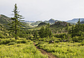 Panoramic View Of The Granite Rock Formations Of The Khentii Mountains From The Aryabala Buddhist Initiation And Meditation Center, Gorkhi-Terelj National Park, Mongolia