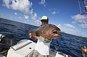 Fisherman Holding A Fresh Caught Grouper; Tahiti
