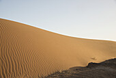 Desert Dunes Landscape Late In The Day, Sahara Desert; Merzouga, Morocco