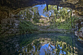 Cenote Zaci, ein unterirdisches Süßwasser-Sinkloch; Valladolid, Yucatan, Mexiko
