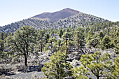 Sunset Crater Volcano; Arizona, United States Of America