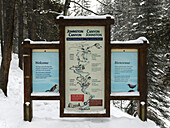 Schild für Johnston Canyon, Banff National Park; Alberta, Kanada