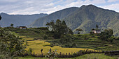 Rural Landscape In A Valley; Thimphu, Bhutan