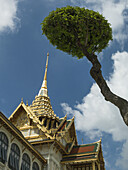 Niedriger Blickwinkel auf ein Gebäude mit goldener Spitze und Baum; Bangkok, Thailand
