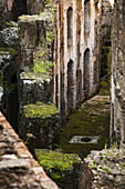 Mooswuchs und Ruinen einer Steinmauer; Rom, Italien