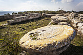 Stone Base Of A Pillar; Sebastia, Samaria, Israel