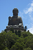 Big Buddha On Hilltop Above Green Trees; Hong Kong