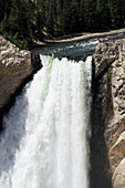 Lower Canyon Falls, Yellowstone National Park; Wyoming, Vereinigte Staaten Von Amerika