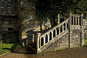 Steintreppe unter Bäumen in Battle Abbey; Battle, England