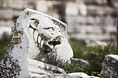 Sculpture Of A Lion At The Ruins Of An Amphitheatre; Miletus, Turkey