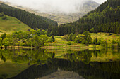 Üppige grüne Landschaft mit Gras, Bäumen und tief hängenden Wolken mit ihrem Spiegelbild im ruhigen Wasser; Schottland