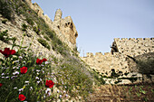 Davids Zitadelle, alte Stadtmauern und Wildblumen auf dem abfallenden Hang; Jerusalem, Israel