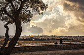 Spektakulärer Blick vom Ölberg auf das Osttor der Altstadt von Jerusalem, aufgenommen von der Dominus-Flevit-Kirche (erbaut an der traditionellen Stelle, an der Jesus über die Stadt weinte); Jerusalem, Israel