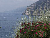 Pink Flowers Blossoming In The Foreground With Boats Along The Amalfi Coast; Amalfi, Italy