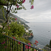 Blühende Blumen und ein Balkongeländer mit Blick auf die Amalfiküste; Positano, Kampanien, Italien