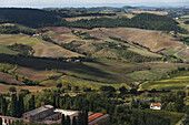 Ackerland auf sanften Hügeln; Montepulciano, Toskana, Italien