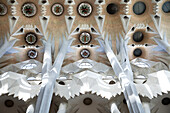 Das Innere der Sagrada Familia; Barcelona, Katalonien, Spanien