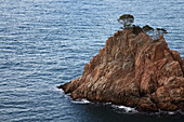 Zerklüfteter Felsen mit Bäumen auf dem Kamm draußen im Meer; Gerone, Katalonien, Costa Brava, Spanien