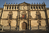 Alcala University, In Alcala De Henares, A Historical And Charming City Near To Madrid; Alcala De Henares, Spain