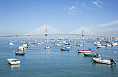 Boats Moored In A Tranquil Harbour; Cadiz De La Frontera, Andalusia, Spain