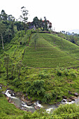 British Era Church And Graveyard Set On A Hill Surrounded By Tea Plantation And River