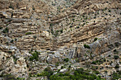 Traditionelles Dorf im Jabal-Akhdar-Gebirge