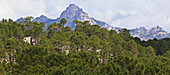 Die Gipfel und Wälder des Alta Rocca Gebirges