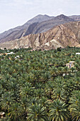 Landschaftsansicht des Jabal Akbar Gebirges mit traditionellem Dorf