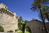 Außenansicht der Kathedrale von Palma De Mallorca mit Palmen