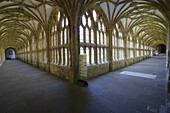 The Cloisters At Wells Cathedral, Somerset