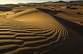 Spätes Tageslicht beleuchtet die großen, roten Sanddünen in Sossusvlei, einem Teil der Namib-Wüste; Namibia