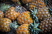Ananas auf dem Mercado Da Graca; Ponta Delgada, Sao Miguel, Azoren, Portugal