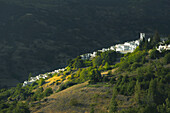 Pampaneira, eines der berühmtesten Dörfer in der Alpujarra; Provinz Granada, Andalusien, Spanien
