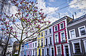 Bunte Reihenhäuser in der Nähe der Portobello Road; London, England