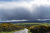 Ominous Storm Clouds Over A Wet Road And Farmland; Northumberland, England