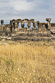 Ruinen der Zvartnots Kathedrale; Vagharshapat, Armavir Provinz, Armenien