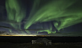 Northern Lights Fill The Sky Over An Abandoned Cabin On Top Of Keno Hill; Keno, Yukon, Canada