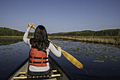 Woman Canoeing In Algonquin Park; Ontario, Canada