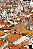 Blick auf Dächer; Dubrovnik, Kroatien