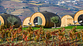 Large wine barrel structures for accommodation on a vineyard, Douro Valley; Lamego Municipality, Viseu District, Portugal