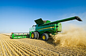 A combine harvests mature winter wheat, near Niverville; Manitoba, Canada