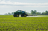 A high clearance sprayer gives a ground chemical application of herbicide to early growth soybeans, near Niverville; Manitoba, Canada