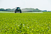 Eine Hochfeldspritze bringt ein chemisches Bodenherbizid auf früh wachsende Sojabohnen aus, in der Nähe von Niverville; Manitoba, Kanada