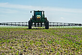 A high clearance sprayer gives a ground chemical application of herbicide to early growth soybeans, near Niverville; Manitoba, Canada