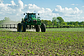 A high clearance sprayer gives a ground chemical application of herbicide to early growth feed/grain corn, near Steinbach; Manitoba, Canada