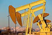 Close-up of pumpjacks with the warm light at sunrise, snow-covered mountains and blue sky in the background, West of Airdrie; Alberta, Canada
